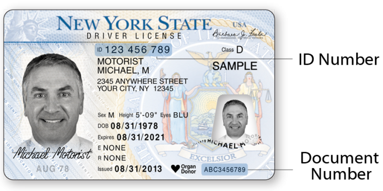 NYS License 2 768x384 